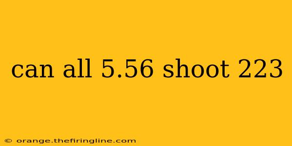 can all 5.56 shoot 223