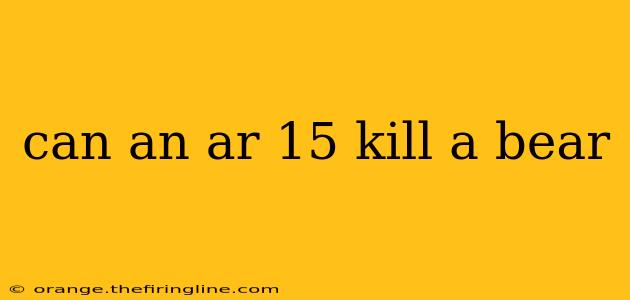 can an ar 15 kill a bear