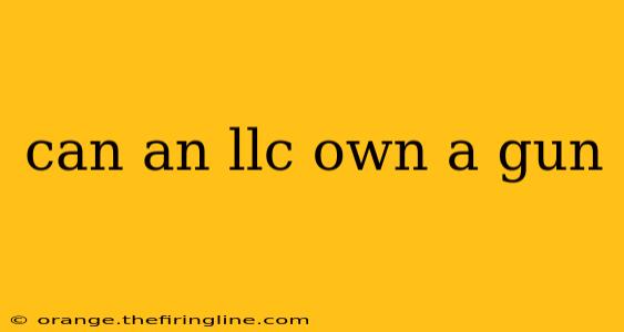 can an llc own a gun