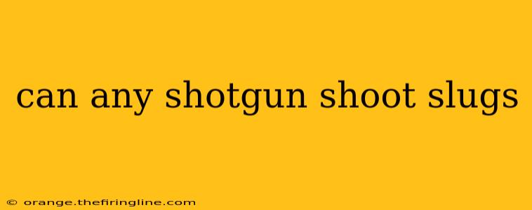 can any shotgun shoot slugs