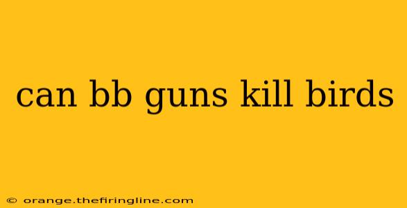 can bb guns kill birds