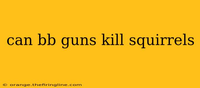 can bb guns kill squirrels