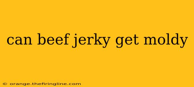 can beef jerky get moldy