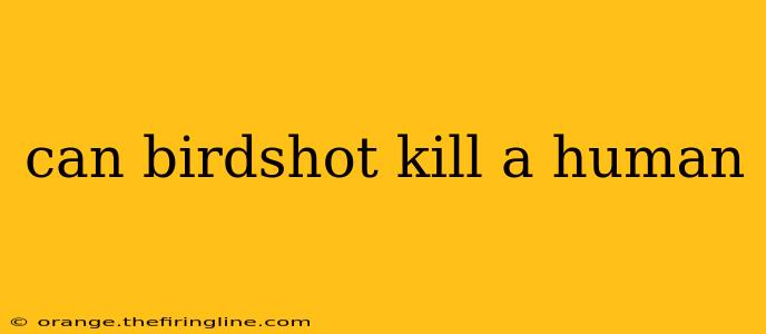 can birdshot kill a human