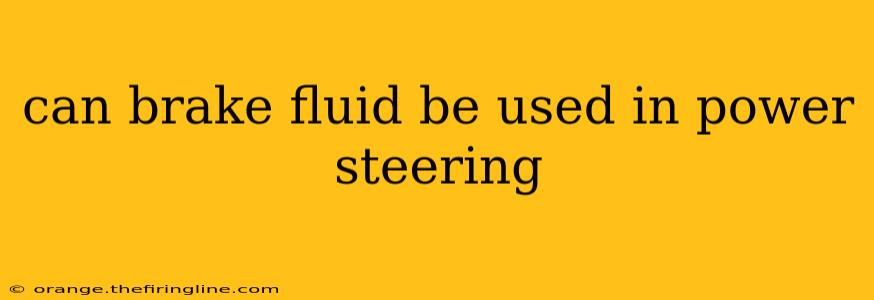 can brake fluid be used in power steering