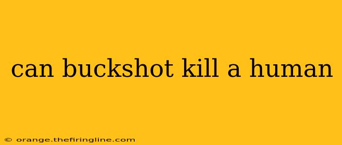 can buckshot kill a human