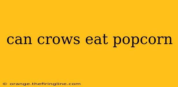 can crows eat popcorn