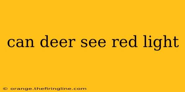 can deer see red light