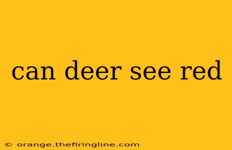 can deer see red