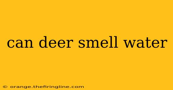 can deer smell water