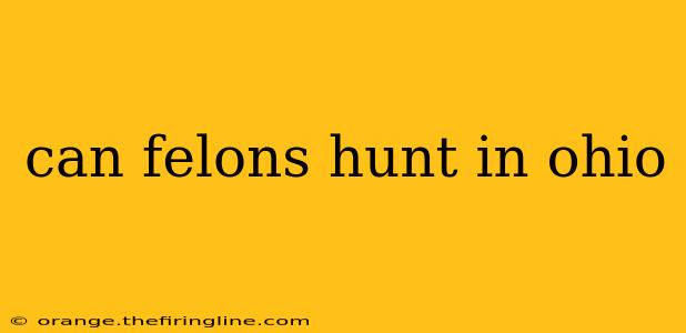 can felons hunt in ohio