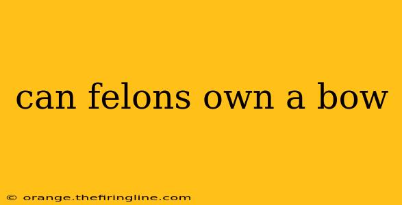 can felons own a bow