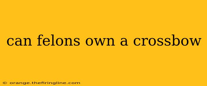 can felons own a crossbow