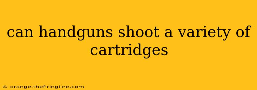 can handguns shoot a variety of cartridges