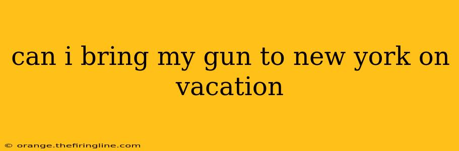 can i bring my gun to new york on vacation