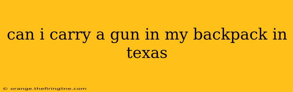 can i carry a gun in my backpack in texas