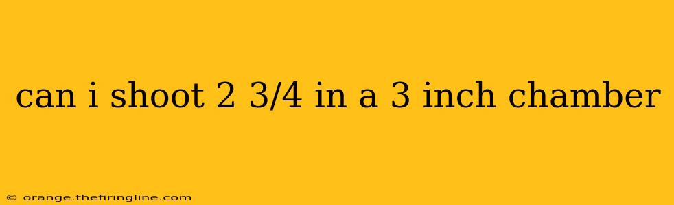 can i shoot 2 3/4 in a 3 inch chamber