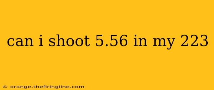 can i shoot 5.56 in my 223