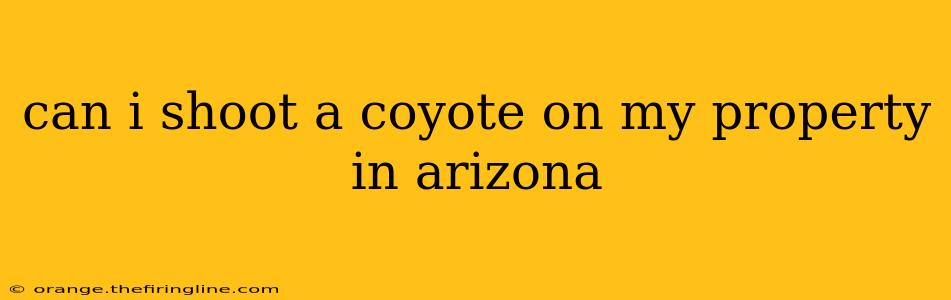 can i shoot a coyote on my property in arizona