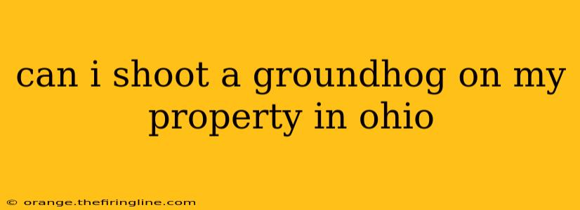 can i shoot a groundhog on my property in ohio