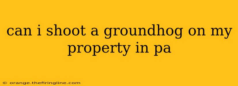 can i shoot a groundhog on my property in pa