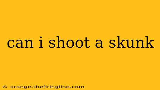 can i shoot a skunk