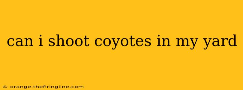 can i shoot coyotes in my yard