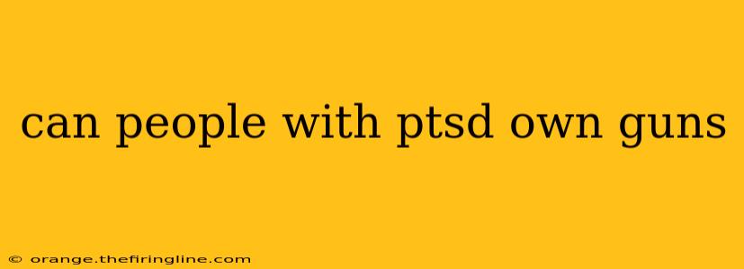 can people with ptsd own guns