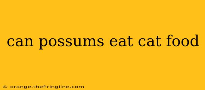 can possums eat cat food