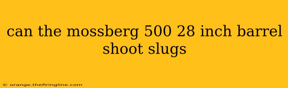 can the mossberg 500 28 inch barrel shoot slugs