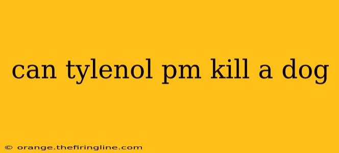 can tylenol pm kill a dog