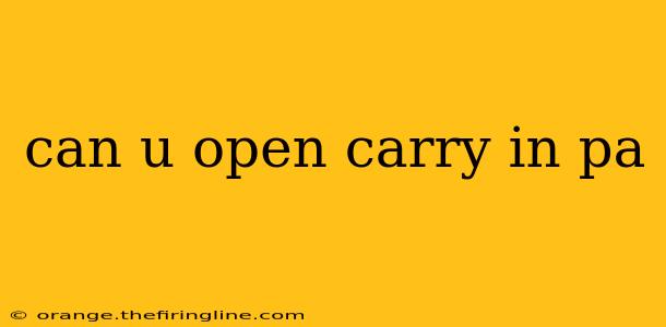 can u open carry in pa