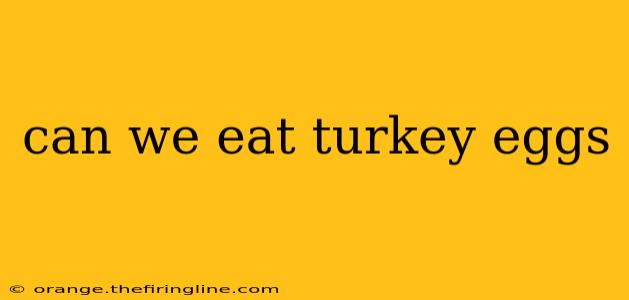 can we eat turkey eggs