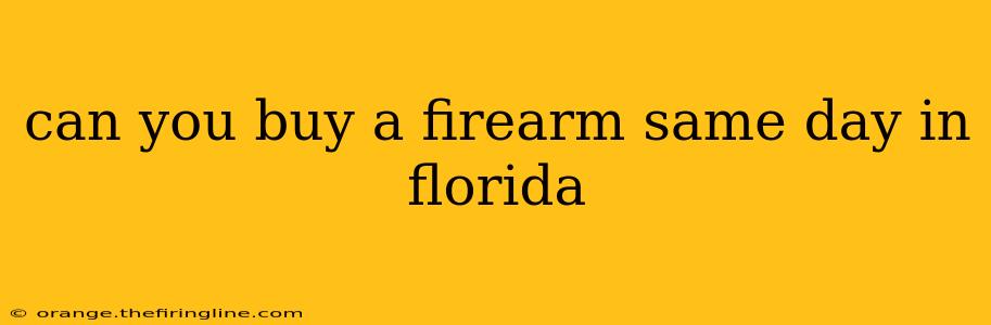 can you buy a firearm same day in florida