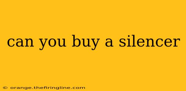 can you buy a silencer