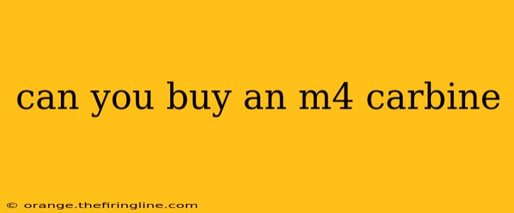 can you buy an m4 carbine