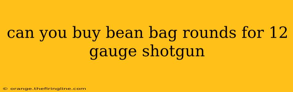 can you buy bean bag rounds for 12 gauge shotgun