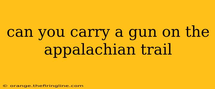 can you carry a gun on the appalachian trail