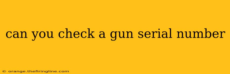 can you check a gun serial number