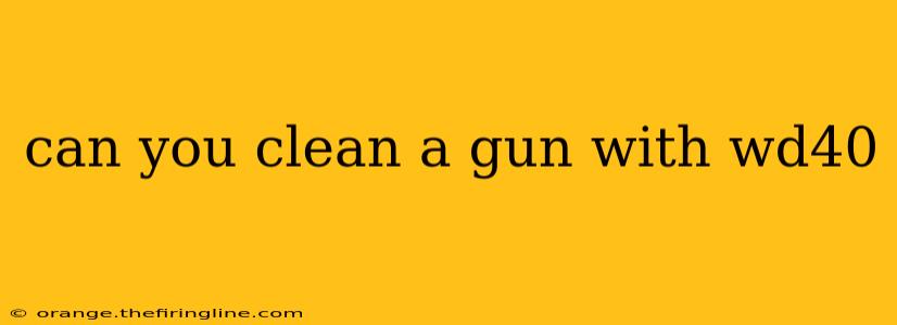 can you clean a gun with wd40