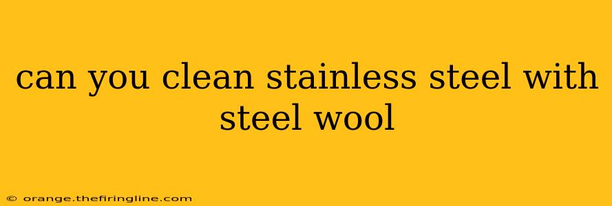 can you clean stainless steel with steel wool