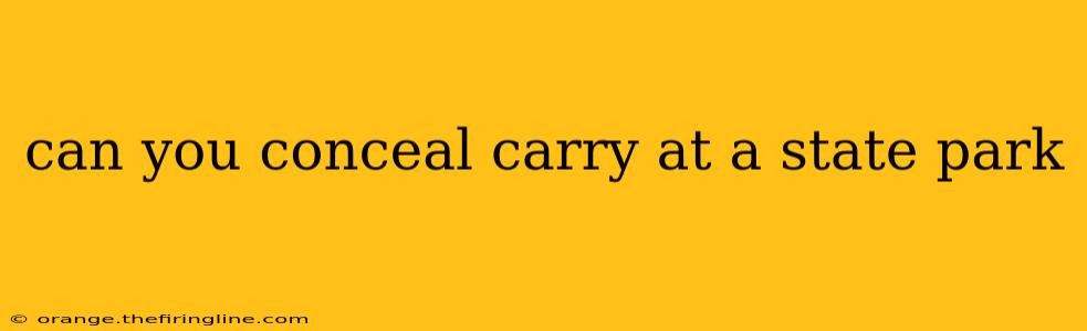 can you conceal carry at a state park