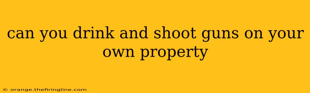 can you drink and shoot guns on your own property