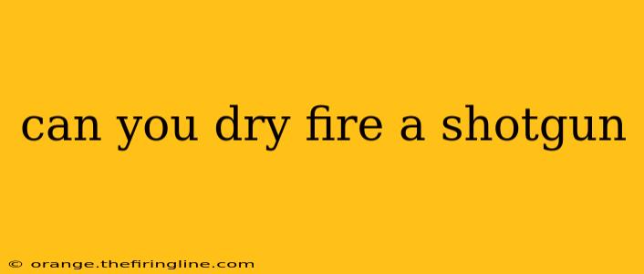 can you dry fire a shotgun