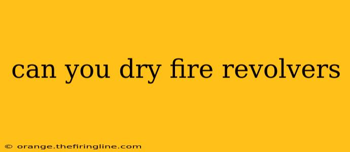 can you dry fire revolvers