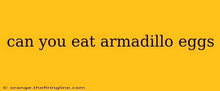 can you eat armadillo eggs