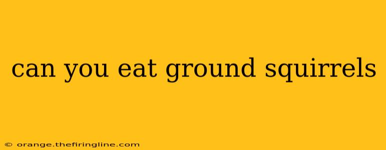 can you eat ground squirrels