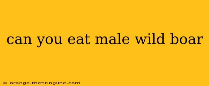 can you eat male wild boar