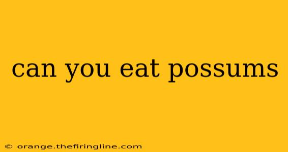 can you eat possums