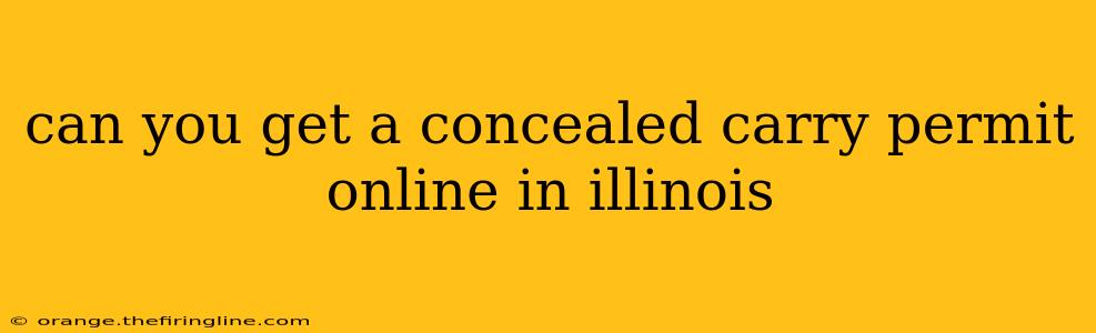 can you get a concealed carry permit online in illinois